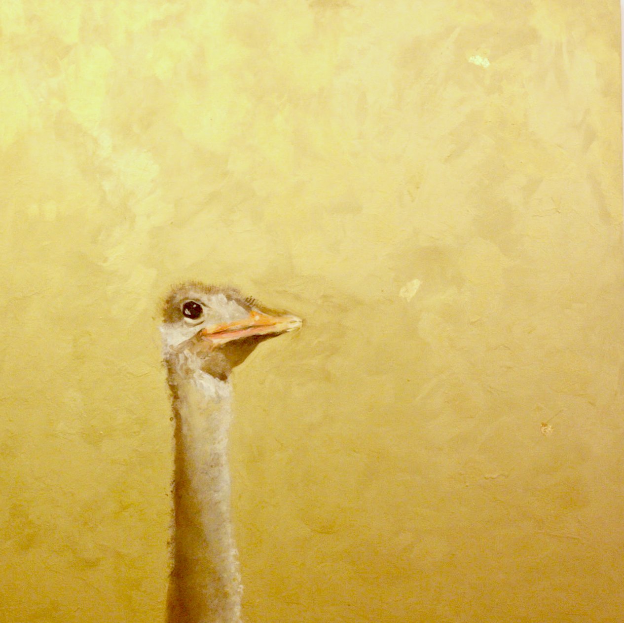 Golden ostrich